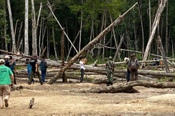 Tim gabungan cegah tambang liar di hutan bakau Bangka Barat