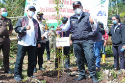 Pemkab Dairi  tanam pohon di Kawasan Hutan Lae Pondom