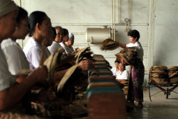 Ekspor tembakau Sumut semester I capai 125,840 juta dolar AS