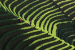 Jawa Barat antisipasi "serangan pariwisata" saat PPKM dilonggarkan