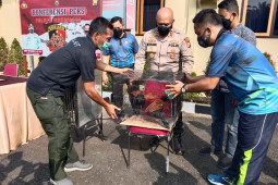 BKSDA lepasliarkan tiga burung dilindungi di TWA Seblat