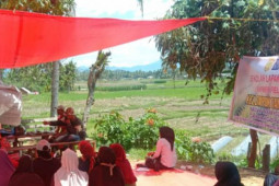 Kementan intesifkan IPDMIP bantu petani di Sumbar