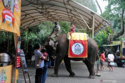 Baru empat tempat wisata di Bogor kantongi izin buka dari Satgas COVID-19