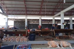 Harga daging ayam dan daging sapi Banda Aceh bertahan