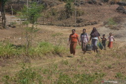 Kemarau landa  85,1 persen wilayah Indonesia, ini akibatnya