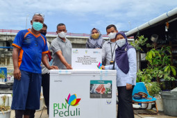 Tingkatkan pendapatan UMKM di Ulee Lheue, PLN bantu lemari pembeku