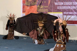 Eksotisnya Burung Kuau diadopsi menjadi tarian oleh sanggar Kuau Gawe Gadis