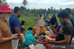 Serangan hama tikus di Tapanuli Selatan meluas