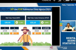 Hasil perkebunan dongkrak kenaikan Nilai Tukar Petani Kaltim