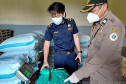 Kakao Jembrana tembus pasar Jepang