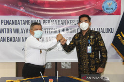 Kanwilkumham Maluku -  BNNP perangi narkoba, tegakkan hukum