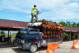 110 tokoh sawit Indonesia peroleh penghargaan, siapa saja?