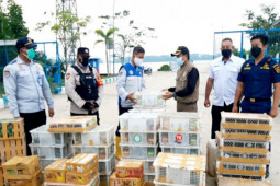 2.044 burung tak jadi "nyebrang" ke Jawa
