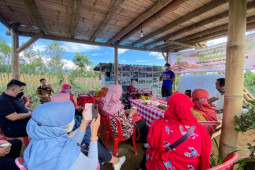 Pemerintah diminta libatkan petani muda dalam program "Food Estate"