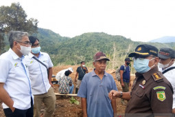 Potensi produksi lahan yang diselamatkan Kejari Tapsel - PTPN 3 belasan miliar