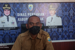 Pemkab Lebak kembangkan hortikultura dukung pariwisata
