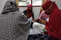 Membatik jadi sumber pendapatan baru anggota HWDI Jambi ditengah pandemi