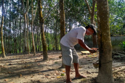 Sektor produktif dan aman siap dorong pemulihan ekonomi Jambi