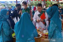 TP PKK dari 20 kecamatan ikuti lomba sambut HKG PKK