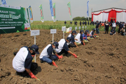 Petrokimia Gresik gandeng PTPN X dorong peningkatan produktivitas tebu di Jatim