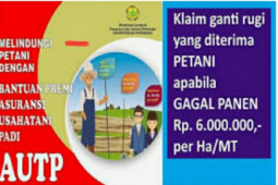 Sangat membantu, petani Sumut harap program AUTP berlanjut