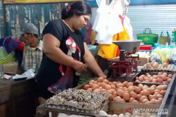 Harga telur dan daging ayam ras di Jember fluktuatif