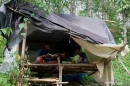 Pelajar Tapin cari sinyal di atas bukit demi sekolah