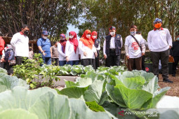 Pemkot Bandung terus perluas lahan untuk ketahanan pangan