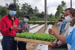 Pemkab Badung antisipasi kelangkaan-kenaikan harga cabai