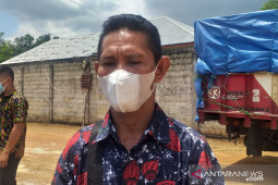 Kabupaten Belitung kirim sampel lada putih ke lima negara