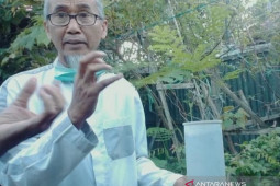 Banjarmasin perlu taman tumbuhan pewarna alam