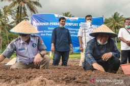 Bank Indonesia bersama Irsan Efendi  tanam bawang merah bersama
