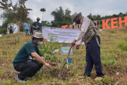 Pertamina dan DLH Jabar berkolaborasi lestarikan Taman Keanekaragaman Hayati