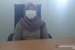 Pemkab Bangka terima inventaris delapan ekor sapi