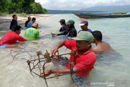 Menjaga surga bawah laut Kapontori dan ancaman nyawa bagi nelayan