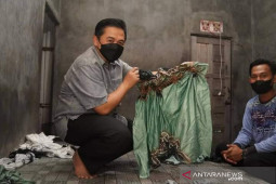 Wali Kota Banjarmasin sebut daerahnya PPKM level 4 tapi rasa level 3