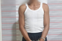 Polsek Secanggang Langkat tangkap pencuri kelapa sawit