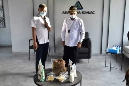 Bupati Konawe datang khusus ke Madiun untuk belajar budi daya porang
