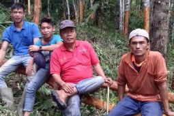 Warga Desa Muara Madras Merangin tanam kayu manis sebagai investasi  .