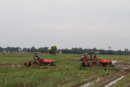 Harga Gabah Kering Panen di Abdya lampoi HPP