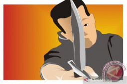 Diduga depresi, ibu bacok anak di Aceh Utara