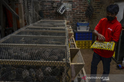 PGE area Karaha luncurkan program Bumala