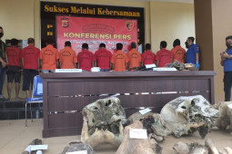 Kejari terima berkas pembunuh lima ekor Gajah di Aceh Jaya