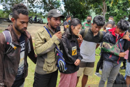 Kapolda Papua Barat : "Tangkap KKB hidup atau mati"