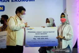 Pemerintah maksimalkan KUR  untuk bantu UMKM bertahan saat pandemi