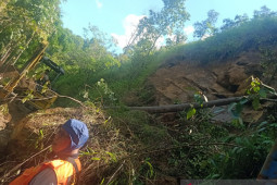 Tebing liku endikat kota Pagaralam longsor setinggi 15 meter