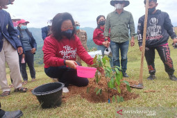 Libatkan mahasiswa IAKN tanam pohon, Satika: Sinergi, iman, dan peduli lingkungan
