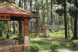 Masata Sumsel  apresiasi Pemkot Palembang benahi wisata Punti Kayu