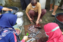 Guru SD di Kediri manfaatkan sela waktu luang ternak lele