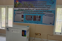Bupati Mukomuko bagikan mesin pembeku ikan kepada poklahsar
